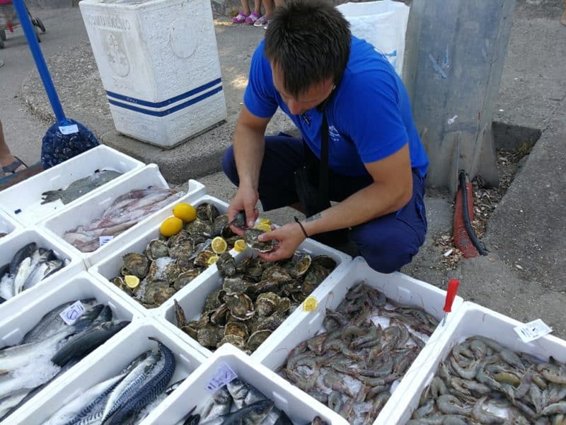 Montenegro Budva Fischer mit Austern