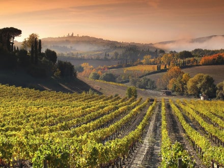 Italien Toskana Chianti Weingut